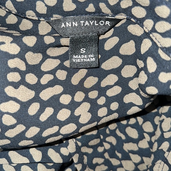 Small Ann Taylor Semi Sheer Blouse - Picture 7 of 11